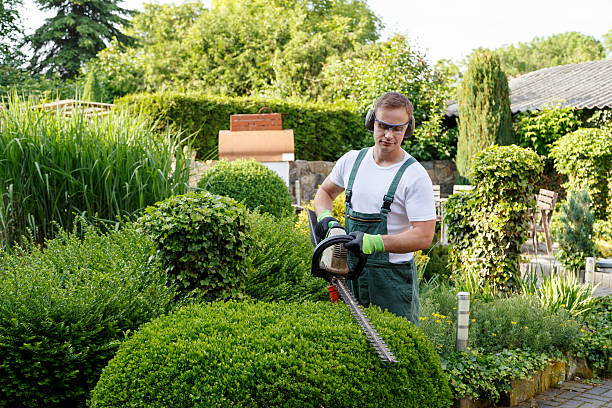 Best Weed Control  in Melbourne, AR